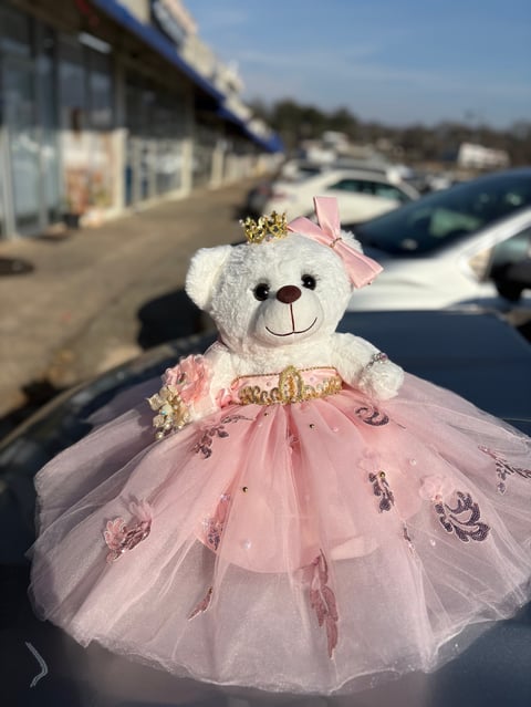 White teddy bear in pink tulle dress